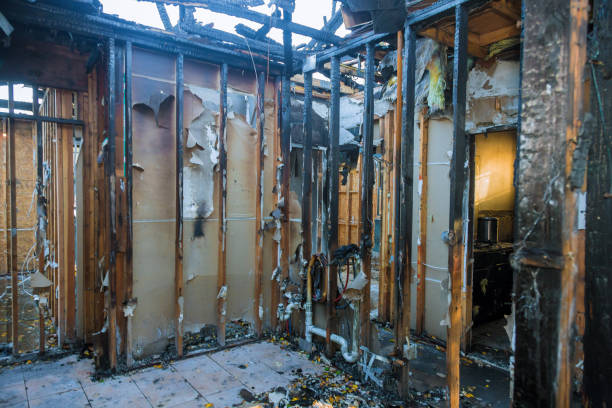 Professional Smoke Damage Removal technician working in St. Louis, MO